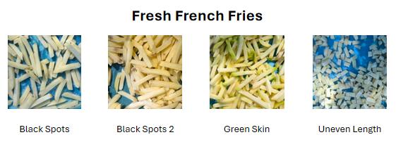 fresh french fries.jpg